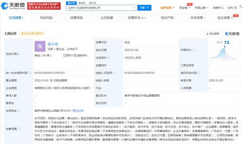 苏宁布局数字科技新赛道，跨界融合拓展业务版图