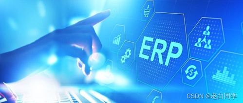 数字化浪潮下的现代饲料工厂 核心系统与数字内容服务解析